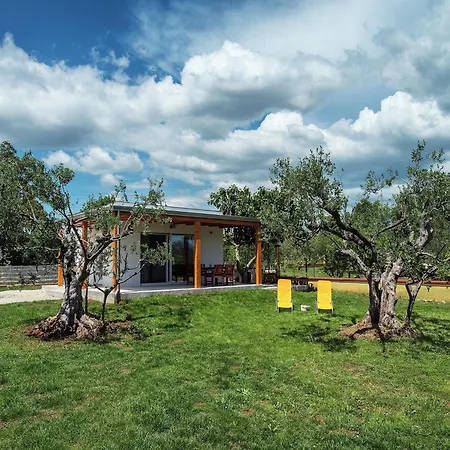 Modern With Enclosed Garden Holiday home